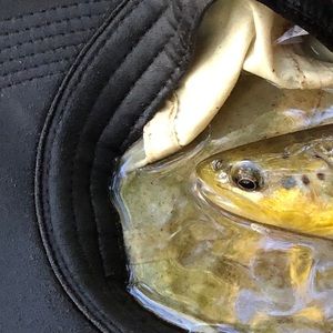 Meet your Posher, Dan